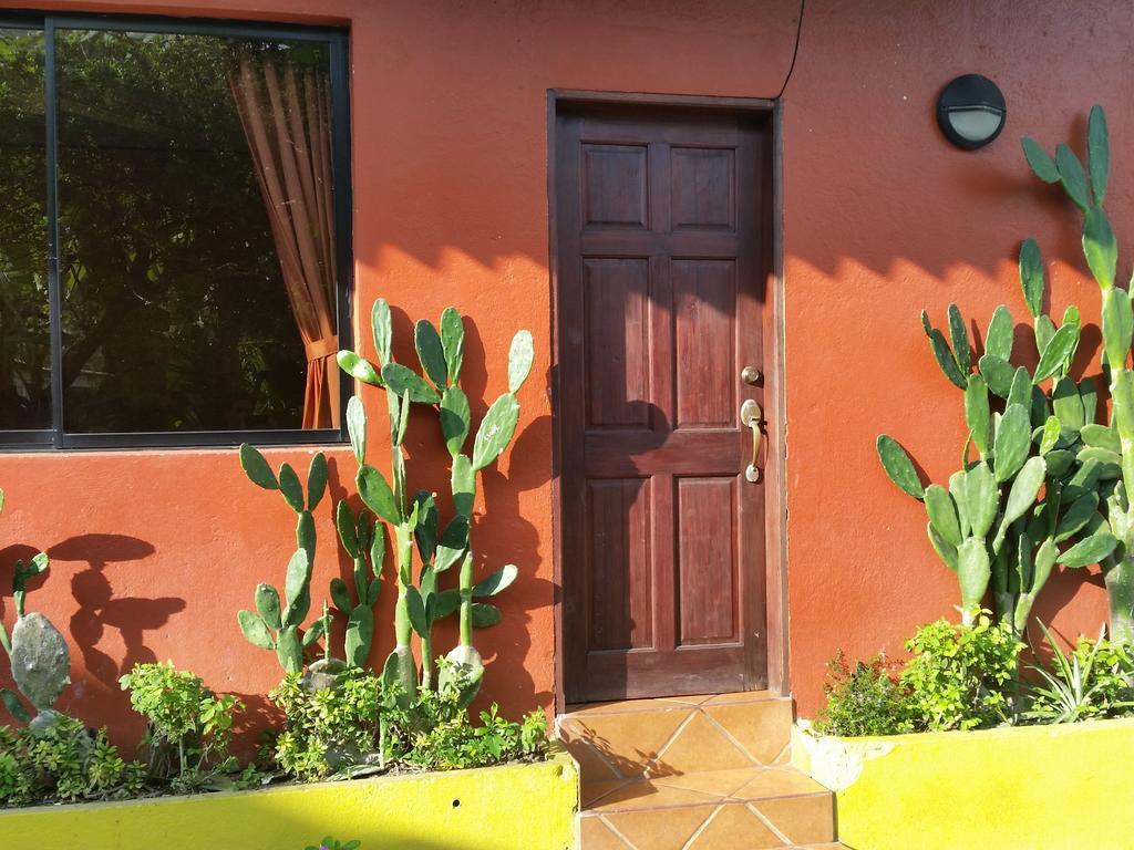 Hotel Cabinas Mar Y Cielo Montezuma Cameră foto