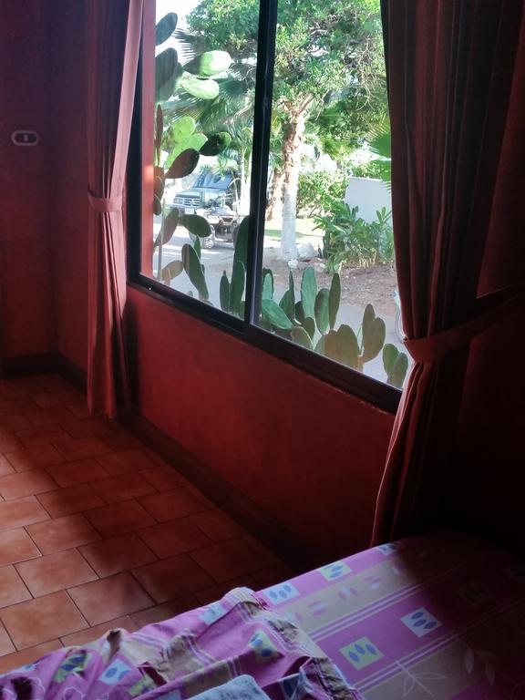 Hotel Cabinas Mar Y Cielo Montezuma Cameră foto